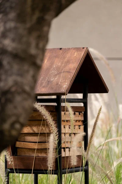 Rest House Bees Hive Bees Rest Insects House Bees Care — Stockfoto