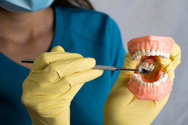 The woman, young woman, girl, dentist is holding dentures in his hands. Dental prosthesis in the hands of the doctor close-up. Front view of complete denture. Dentistry conceptual photo. Prosthetic