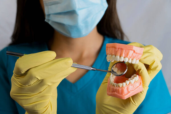 The woman, young woman, girl, dentist is holding dentures in his hands. Dental prosthesis in the hands of the doctor close-up. Front view of complete denture. Dentistry conceptual photo. Prosthetic