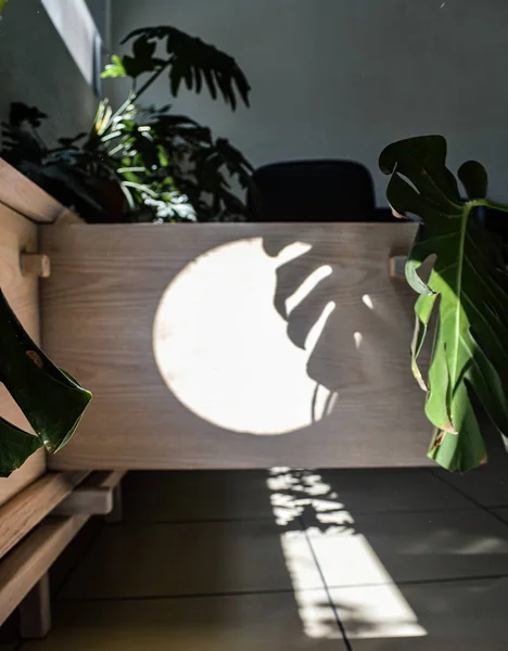 wooden furniture light and shadow, light wood credenza contrasting with light and shadow, vegetation in the foreground, close-up view