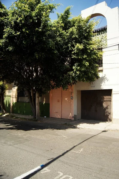 Facade Mexican Houses Guadalajara Entrance Sheet Painted Pink Small Garage — Fotografia de Stock