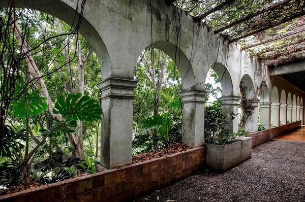 Colonial Architecture Arches Surrounded Vegetation Play Light Shadows Space Natural — Stok fotoğraf