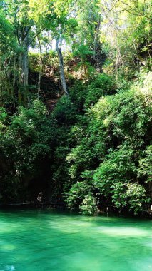 turquoise lake with dense vegetation behind, the suns rays filter through the treetops bathing the lake in light, peace and tranquility, mexico, without people