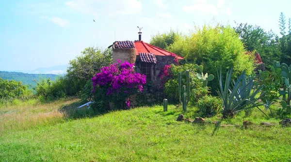 small house in the middle of the countryside, stone house, with tile roof, around cactus, flowers and vegetation, small entrance to the house. no people