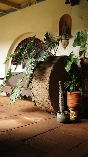 Stone Wheel Pots Plants Old House Mexico — Foto Stock
