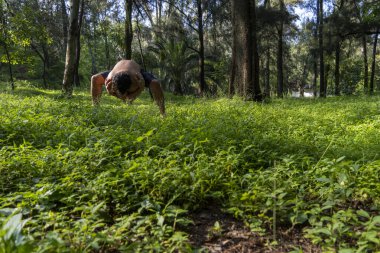 Latin ve Latin adam, ormanın ortasında meditasyon yapıyor, güneş ışınları alıyor, kahverengi tenli, Meksika latin amerika