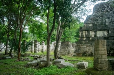 Meksika 'da Maya piramitleri, taş yapı, bitki örtüsü, derin orman, Latin Amerika