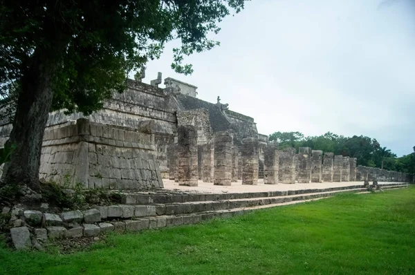 Meksika Maya Piramitleri Taş Yapı Bitki Örtüsü Derin Orman Latin — Stok fotoğraf