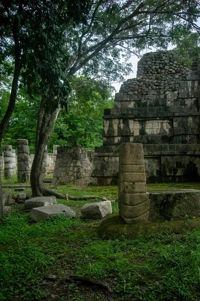 Meksika Maya Piramitleri Taş Yapı Bitki Örtüsü Derin Orman Latin — Stok fotoğraf