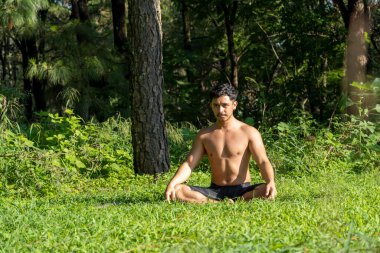 Latin ve Latin adam, ormanın ortasında meditasyon yapıyor, güneş ışınları alıyor, kahverengi tenli, Meksika latin amerika