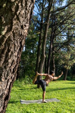 Genç adam, ormanda yoga ya da reiki yapıyor. Meksika 'da, Guadalajara' da, Bosque Colomos 'ta, Latin Amerika' da.