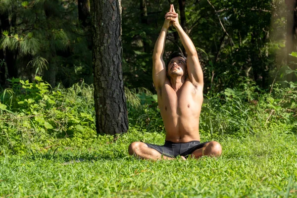 Hispano Latino Meditando Medio Bosque Recibiendo Rayos Sol Piel Marrón —  Fotos de Stock