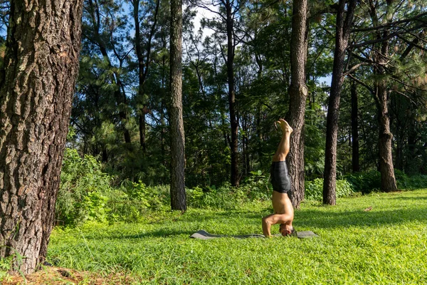 年轻人 正在做瑜伽或Reiki 在森林里非常绿的植被里 在墨西哥 瓜达拉哈拉 玻色的科洛莫 他的恐慌 拉丁美洲 — 图库照片