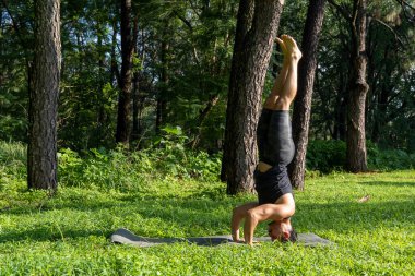 Genç adam, ormanda yoga ya da reiki yapıyor. Meksika 'da, Guadalajara' da, Bosque Colomos 'ta, Latin Amerika' da.
