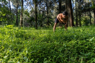 Latin ve Latin adam, ormanın ortasında meditasyon yapıyor, güneş ışınları alıyor, kahverengi tenli, Meksika latin amerika
