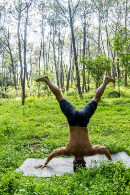 Latin Amerikalı adam yoga yapıyor, yoga yapıyor, Bee back Prsthat ah Brahmara, Meksika, Orman
