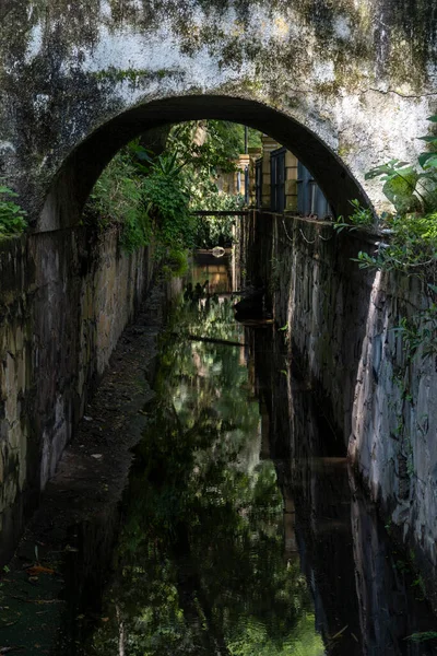 arched bridge, with vegetation around it, water at the bottom of the bridge, mexico, guadalajara