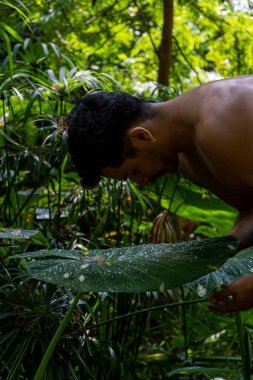 Genç adam, ormanda yoga ya da reiki yapıyor. Meksika 'da, Guadalajara' da, Bosque Colomos 'ta, Latin Amerika' da.