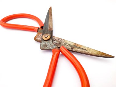 Paslı dikiş makası beyaza izole edilmiş.