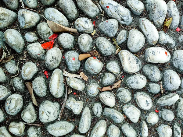 Smooth round pebbles texture background. Pebble field ground close-up, dark wet pebble and gray dry pebble. High quality photo.