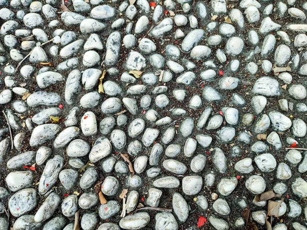 Smooth round pebbles texture background. Pebble field ground close-up, dark wet pebble and gray dry pebble. High quality photo.