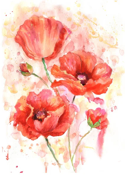 Akvarell Vallmo Hand Dras Blommig Illustration Vilda Blommor Isolerad Vit — Stockfoto