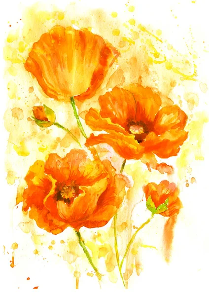 Akvarell Vallmo Hand Dras Blommig Illustration Vilda Blommor Isolerad Vit — Stockfoto