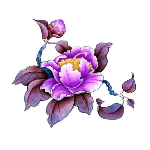 Camellia Flower Watercolor Illustration Manual Composition Design Textile Wallpapers Element — Stock Photo, Image