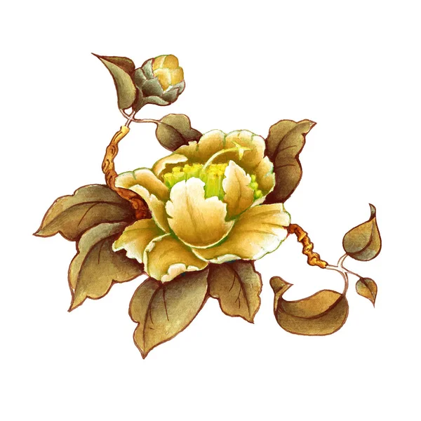 Kamelya çiçeği suluboya çizimi. Elle kompozisyon. Tekstil tasarımı, duvar kağıtları, tasarım elementi, tebrik kartı.