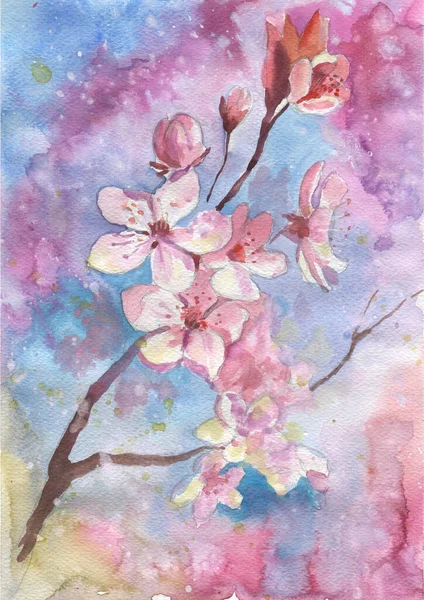 Watercolor Cherry Blossom Flower Spring Flowers Watercolor Botanical Pattern Wedding — Stockfoto