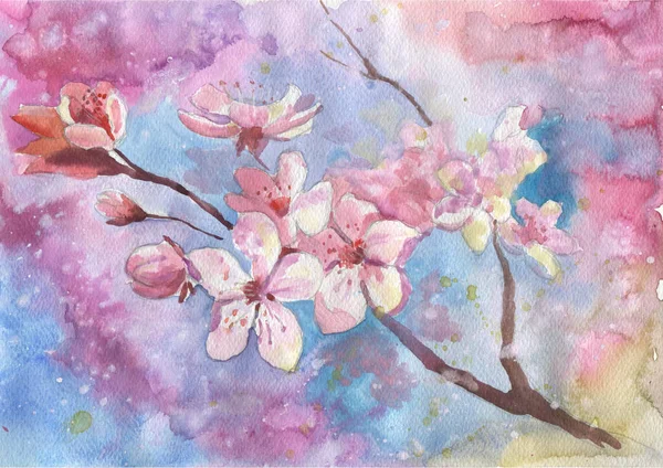 Watercolor Cherry Blossom Flower Spring Flowers Watercolor Botanical Pattern Wedding — Stock Photo, Image