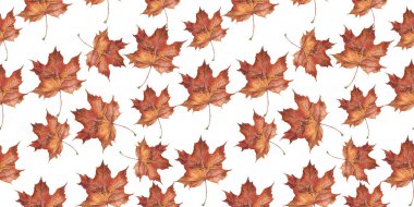 Kusursuz desen. Akçaağaç yapraklarından sonbahar deseni. Tebrik kartları, bayram afişleri ve posterleri tasarlamak için sonbahar akçaağaç yaprağı.