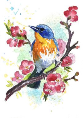Watercolor illustration. Tit and spring flowers. Drawn in a romantic style.