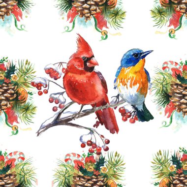 Seamless pattern. Watercolor illustration. Birds and spruce branch with a cone on a white background.