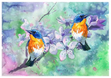 Watercolor illustration. Tit and spring flowers. Drawn in a romantic style.