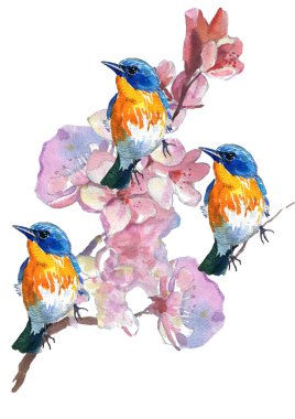 Watercolor illustration. Tit and spring flowers. Drawn in a romantic style.