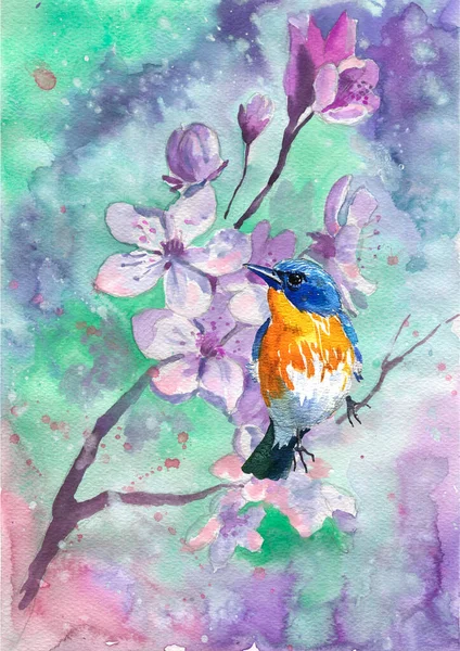 Watercolor Illustration Tit Spring Flowers Drawn Romantic Style — Stockfoto