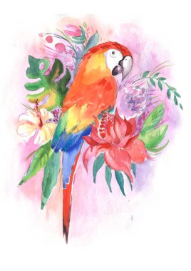 Palyaço Macaw, tropikal yapraklar ve çiçekler içindeki papağan, beyaz arka planda izole edilmiş bir dalda oturan yeşil papağan. Gerçekçi suluboya. Resmedilmiş. Şablon. Klip sanatı. El çizimi. El boyası.