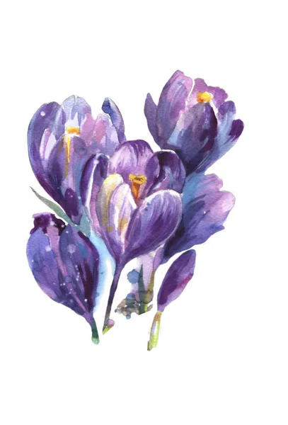 Flowers Crocuses Image Blue Snowdrops Images Spring Watercolor Seamless Pattern — Stockfoto