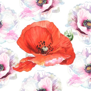 Watercolor seamless pattern. Watercolor poppies, hand drawn floral illustration, wildflowers isolated on white background.