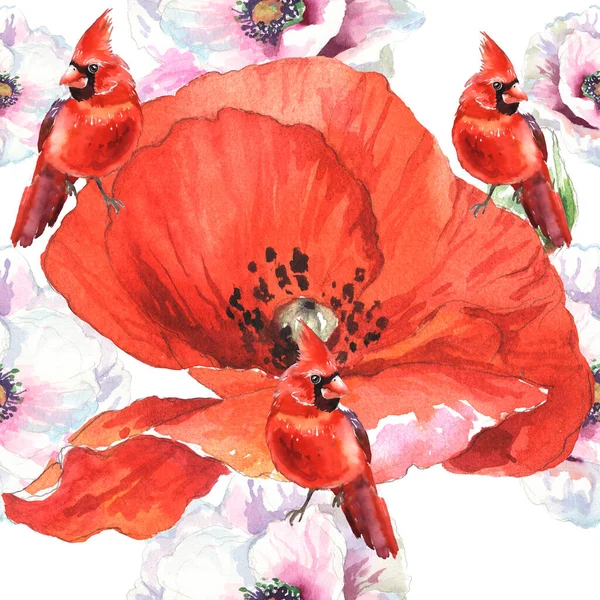 Watercolor Poppies Cardinal Birds Hand Drawn Illustration Wildflowers Red Birds —  Fotos de Stock