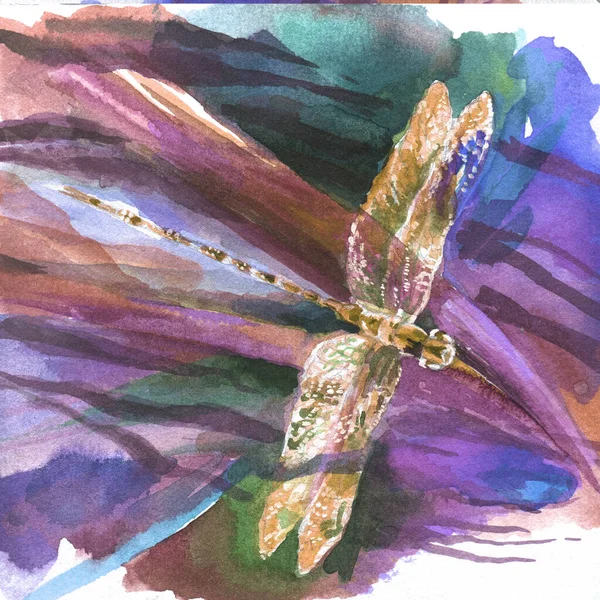 Watercolor illustration. Dragonfly. Can be used to print postcards, stickers.