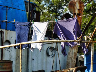 Belen de Escobar 'daki kuru ağaçlar Buenos Aires