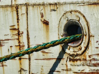 Belen de Escobar 'daki kuru ağaçlar Buenos Aires