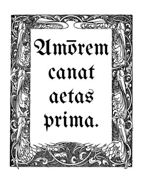 Medieval gothic black and white print on a T-shirt with a frame and an inscription in Latin 
