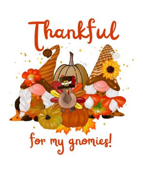 Orange Thankful for my gnomies! T shirt