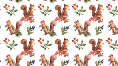 Cute Squirrel Desktop Wallpaper art graphic design