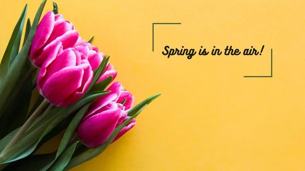 Yellow and Pink Minimalist New season New Spirit Spring is in the Air! Desktop Wallpaper