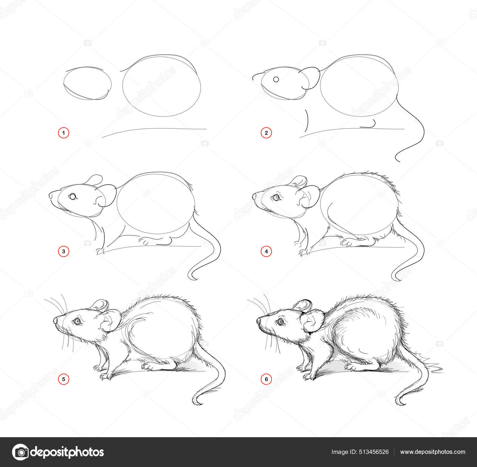 How To Draw A Mouse For Kids, Step by Step, Drawing Guide, by Dawn -  DragoArt