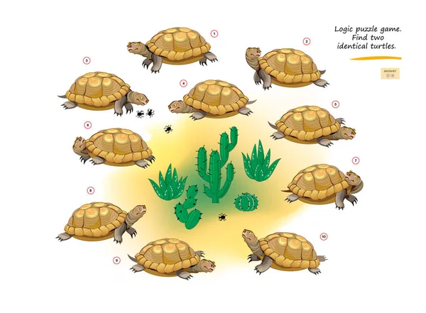 Logická Puzzle Hra Pro Děti Dospělé Najdi Dvě Identické Želvy — Stockový vektor